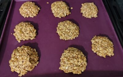 GF Banana Oat Cookies…perfect anytime
