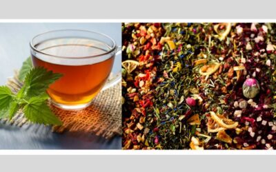 Blend & Sip: Organic Herbal tea Workshop
