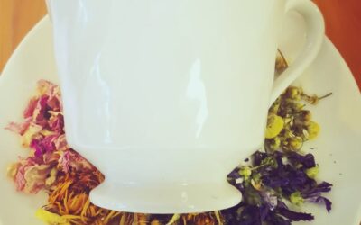 Bespoke Herbal Tea Blending Workshop
