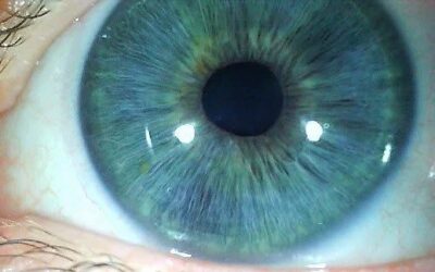 The Eyes Are the Windows to Your Health.